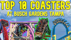 top 10 roller coasters at busch gardens