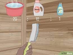 3 Easy Ways To Clean Mold Off Walls