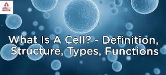 what is cell definition in biolgogy