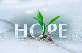 Hope: The 3 Things needed to Grow and Thrive | Springs Christian Academy | Christian School | Pre-K | Elementary | High School | Winnipeg