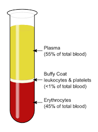 composition of blood and its functions