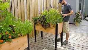 Herb Garden Designs With Plant Lists