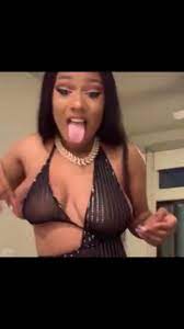 Meg thee stallion nip slip