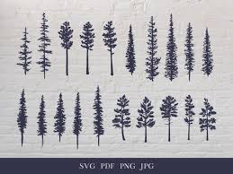 Pine Tree Evergreen Drawing Slihouette