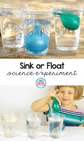 sink or float science experiment using
