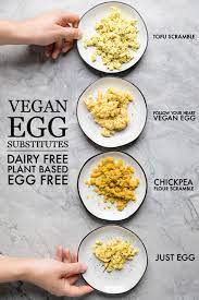 vegan egg subsutes make it dairy free