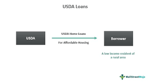 usda loan what is it types