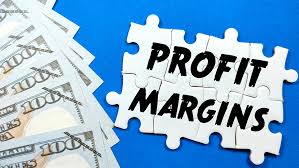 net profit margin and how to calculate