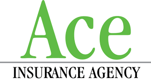 Ace Insurance Agency gambar png