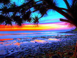 Tropical Landscape Colorful Beach ...