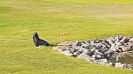 The Fiji TimesVisitor gives Wellington golf course his seal of ...
