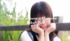 This application supports more than 400 image formats that exist today. Xnview Japanese Filename Bokeh Full