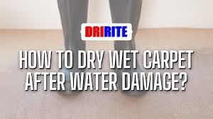 dry wet carpet after water damage