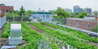 The Roulant S Roof Garden Grows Food