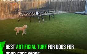 artificial turf for dogs in phoenix