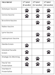 Printable Puppy Vaccination Schedule Chart Www