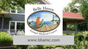 Belle haven animal medical centre