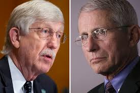 Anthony fauci has served as director of the national institute of allergy and infectious diseases since 1984. Dr Anthony Fauci And Dr Francis Collins On A Year Of Fighting The Pandemic Npr