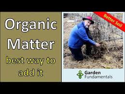 How To Add Organic Matter To The Garden