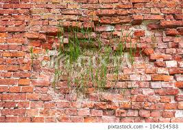 Red Brick Wall With Green Grass Growing