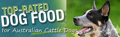 The Ultimate Australian Cattle Dog Food Buyers Guide Dog