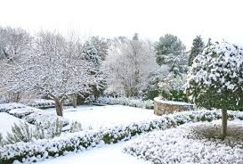 How To Prepare Your Garden For Winter