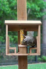 corn cob squirrel feeder gray house