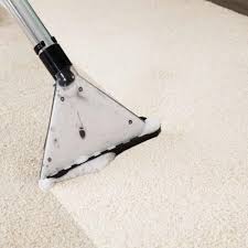 top 10 best carpet clean in plano