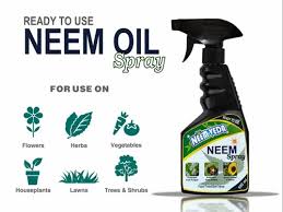 Neem Veda Organic Neem Oil Spray For