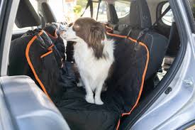 The 9 Best Back Seat Covers For Dogs