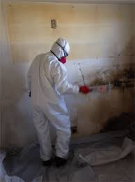 1 mold remediation inspection service