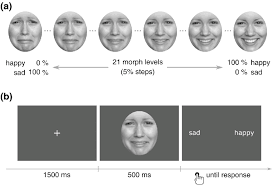 continuum of sad happy face morphs