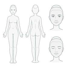 Female Body Outline Stock Photos And Images 123rf
