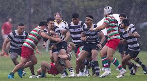 rugby lined up updated clubrugby nz