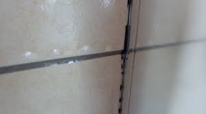 How To Prevent Mould In Bathrooms