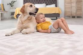 heaven s best carpet cleaning of duluth