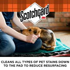 scotchgard oxy pet carpet and fabric
