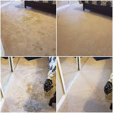 carpet cleaning advanced chem dry by jeff