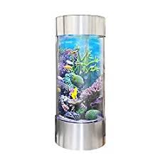 Find here details of companies selling corner fish tank, for your purchase requirements. Best 55 Gallon Aquariums And Fish Tanks Myaquarium