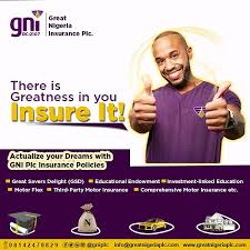 She is also currently the acting cfo of gni healthcare limited a subsidiary of great nigeria insurance plc. Gni Plc On Twitter Great Nigeria Insurance Plc Is An Insurance Company Licensed To Underwrite Both Life And General Insurance Businesses With A Reputation For Prompt Claims Settlement And Top Notch Service