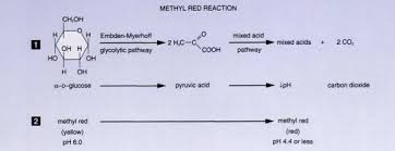 Methyl Red Mr Test Principle Procedure And Results