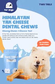 himan yak cheese dental chews