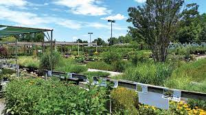 Garden Centers Of Hampton Roads