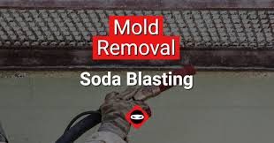 mold removal soda blasting by crawl