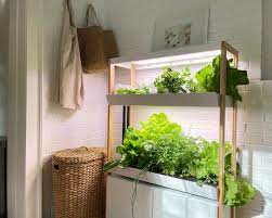 Rise Gardens Indoor Hydroponic System