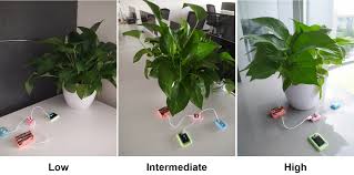 do plants need light dfrobot science