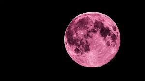Pink Moon Wallpapers - Top Free Pink ...