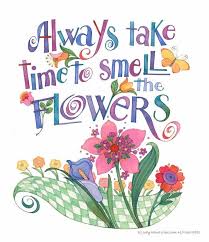 Give me my flowers while i can smell them quote. Smell The Flowers Quotes Provenwinners Smell The Flowers Quotes Provenwinners The Post Smell The Flowe Flower Quotes Gardening Quotes Funny Garden Quotes