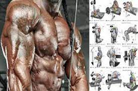 6 best triceps workouts for men 1st