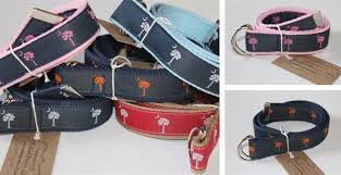Sc Palmetto Tree D Ring Belts For Kids Fashion Size